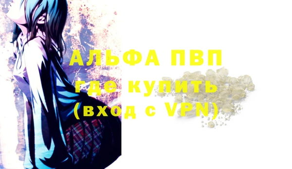 прущие грибы Верея