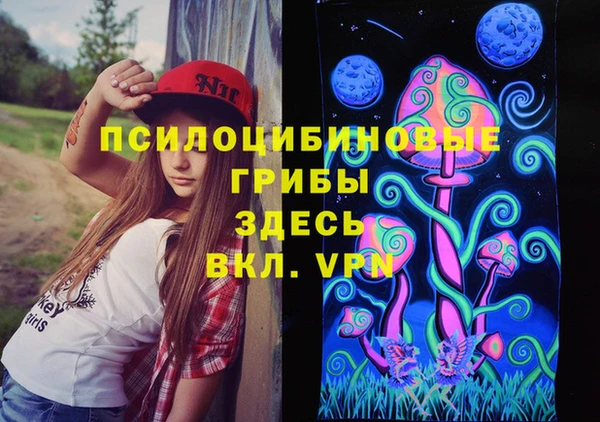 индика Беломорск