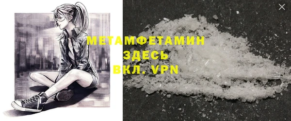 прущие грибы Верея