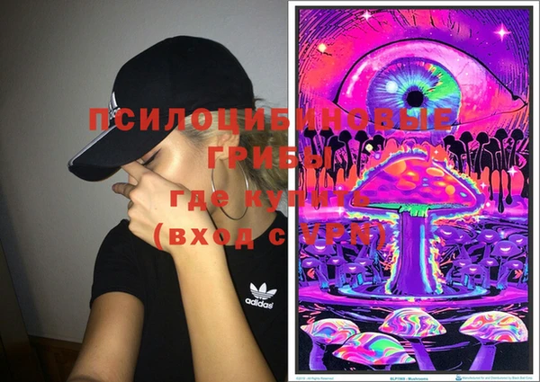 индика Беломорск