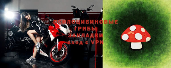 индика Беломорск