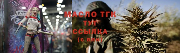 индика Беломорск