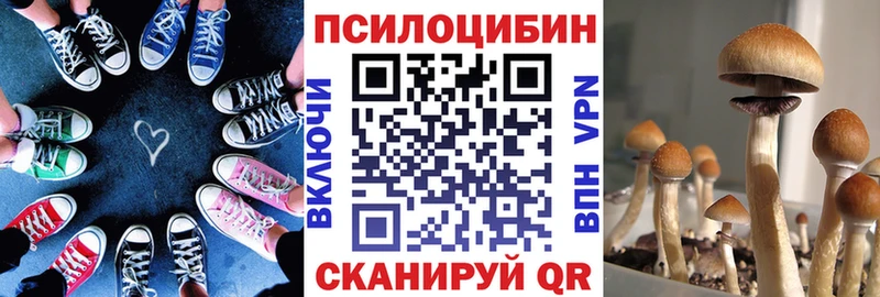ОМГ ОМГ ссылка  маркетплейс клад  Псилоцибиновые грибы GOLDEN TEACHER  закладка  Вихоревка 